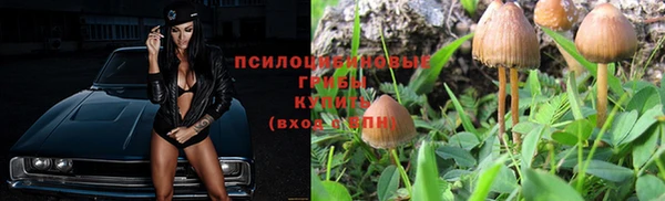 стафф Алексин