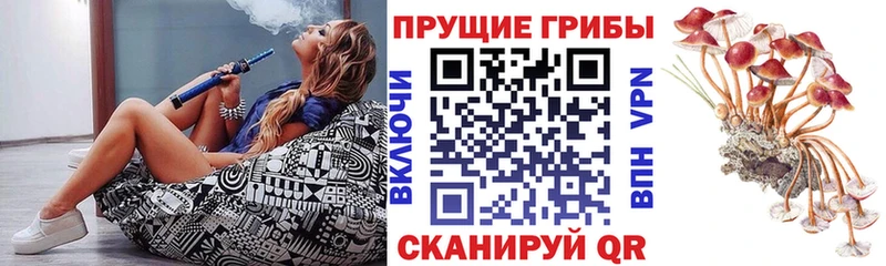 Галлюциногенные грибы MAGIC MUSHROOMS Неман